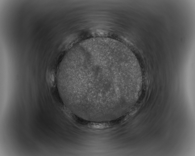 X0000086270709200704191925