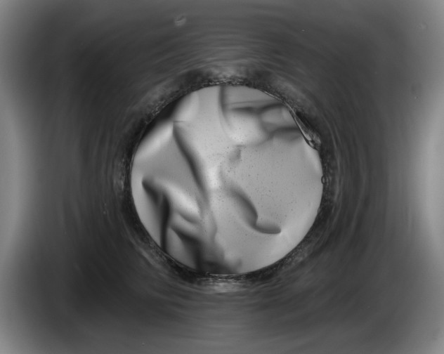 X0000086270710200704191925