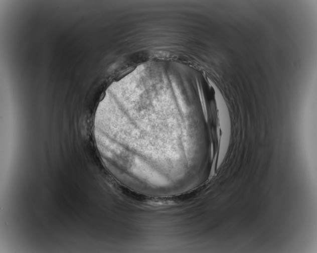 X0000086270712200704191925