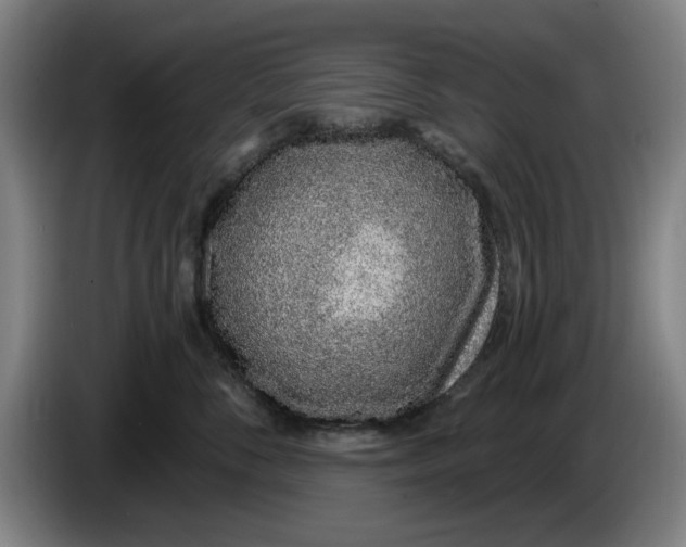 X0000086270716200704191925