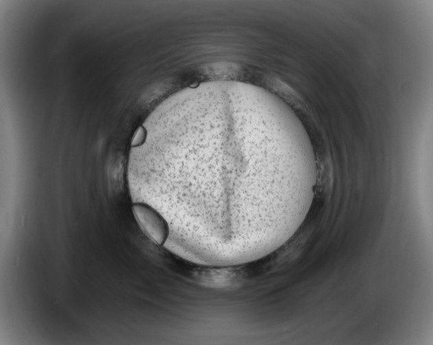 X0000086270717200704191925