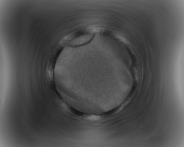 X0000086270718200704191925