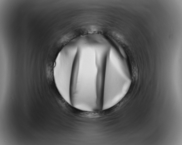 X0000086270719200704191925