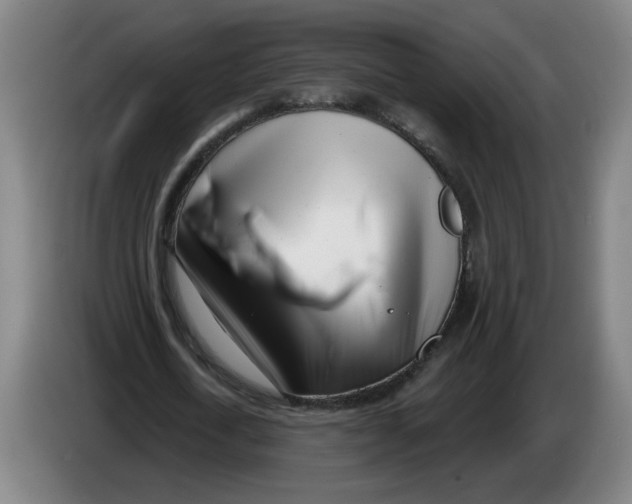 X0000086270722200704191924