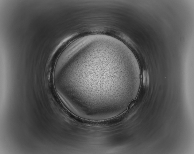 X0000086270723200704191924