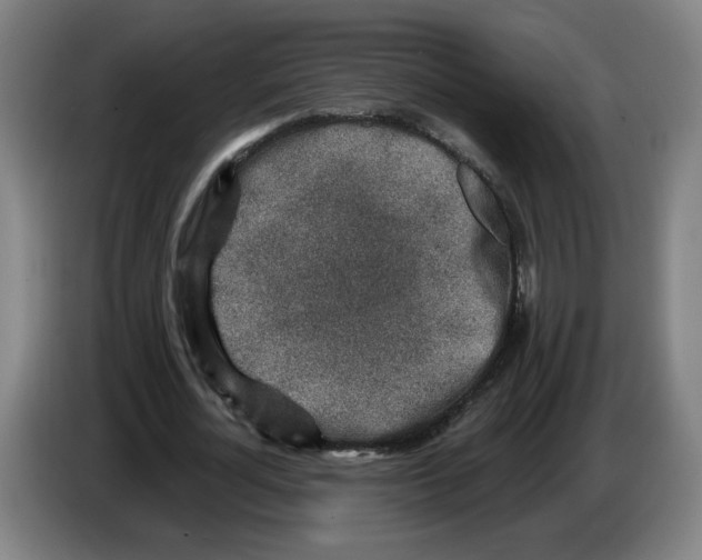 X0000086270724200704191924