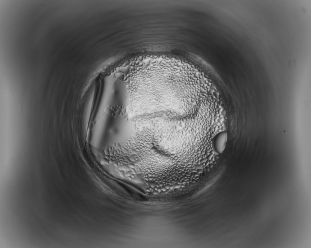 X0000086270725200704191924