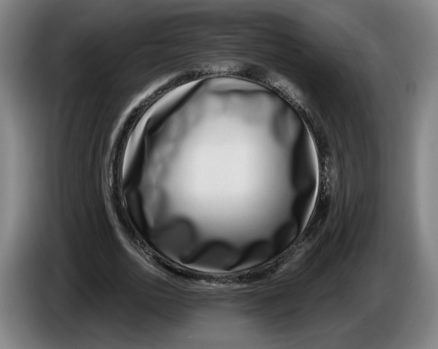 X0000086270726200704191924