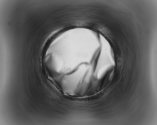 X0000086270727200704191924