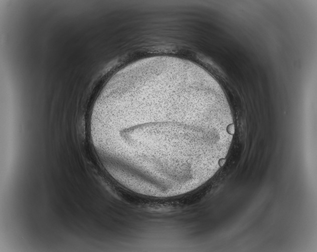 X0000086270729200704191924