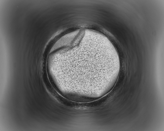 X0000086270730200704191924