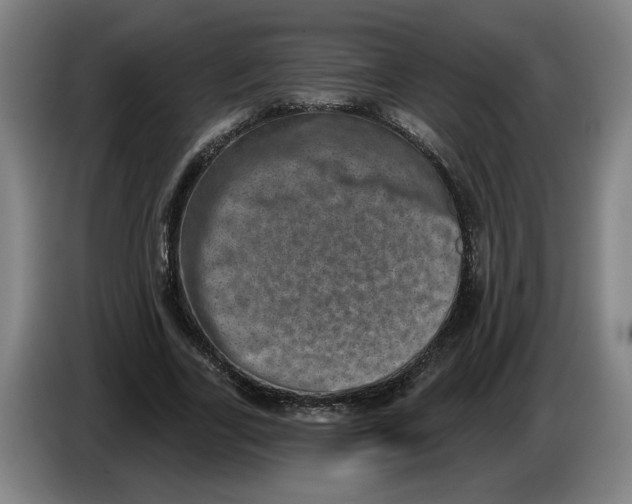 X0000086270731200704191924