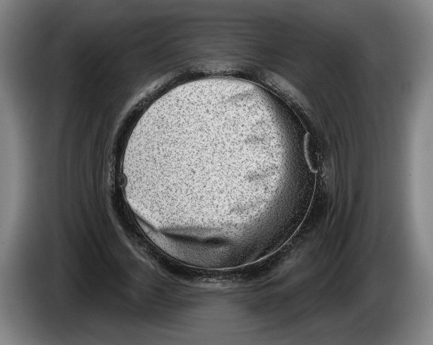 X0000086270732200704191924