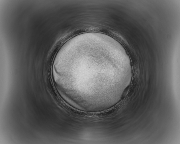 X0000086270736200704191924