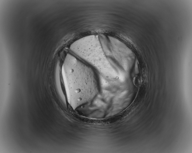 X0000086270738200704191924