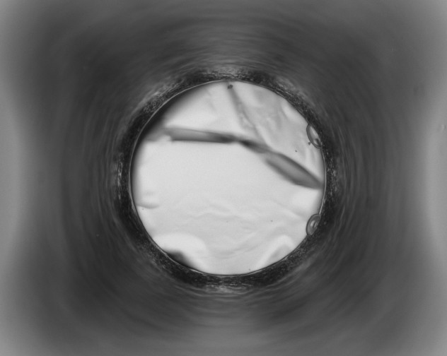 X0000086270739200704191924