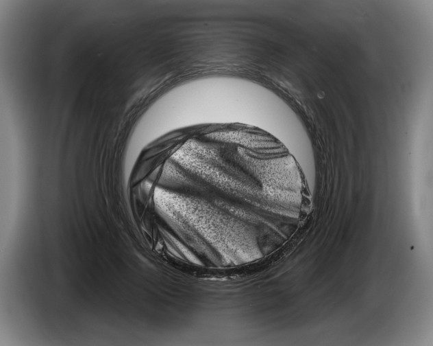 X0000086270740200704191924