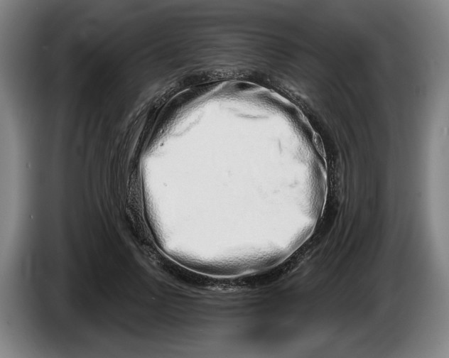 X0000086270742200704191924