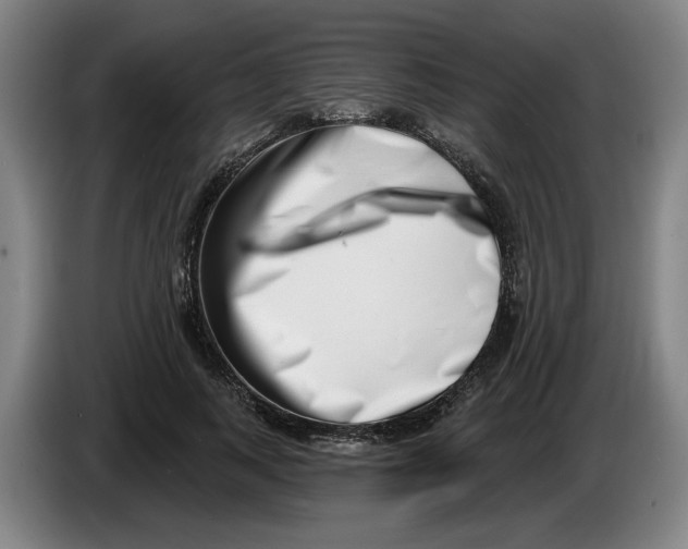 X0000086270743200704191924