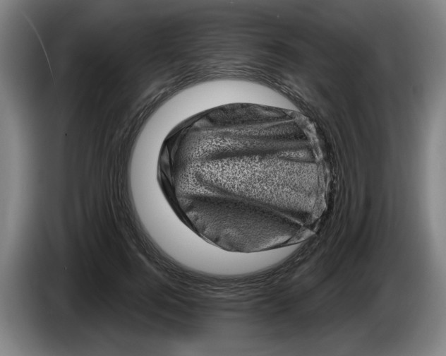 X0000086270744200704191924