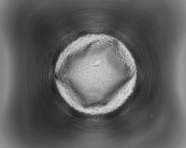 X0000086270745200704191924