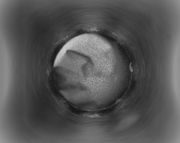 X0000086270747200704191924