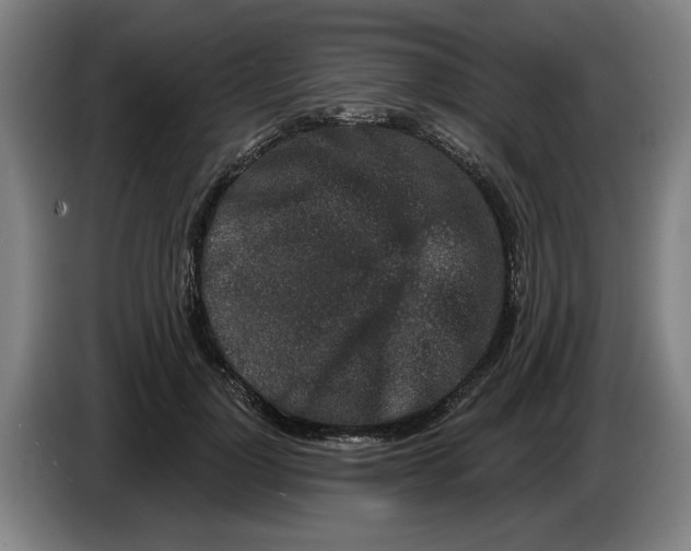 X0000086270748200704191924