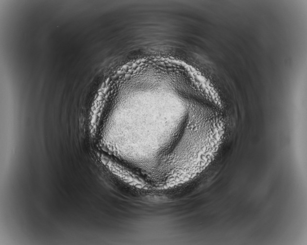 X0000086270749200704191924