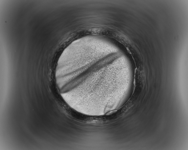 X0000086270750200704191924