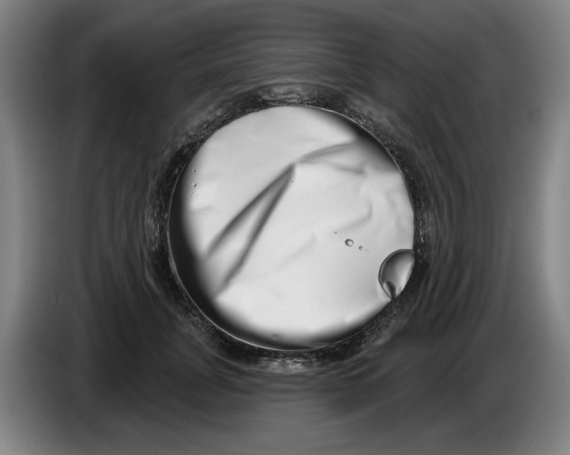 X0000086270751200704191924