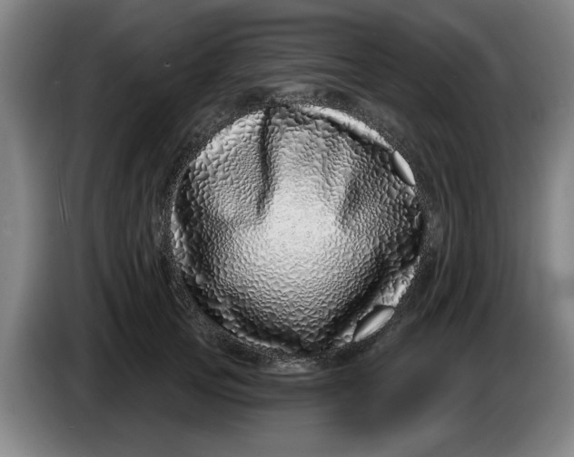 X0000086270753200704191924