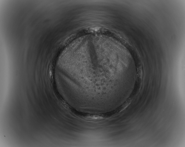 X0000086270754200704191924