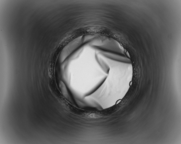 X0000086270755200704191924