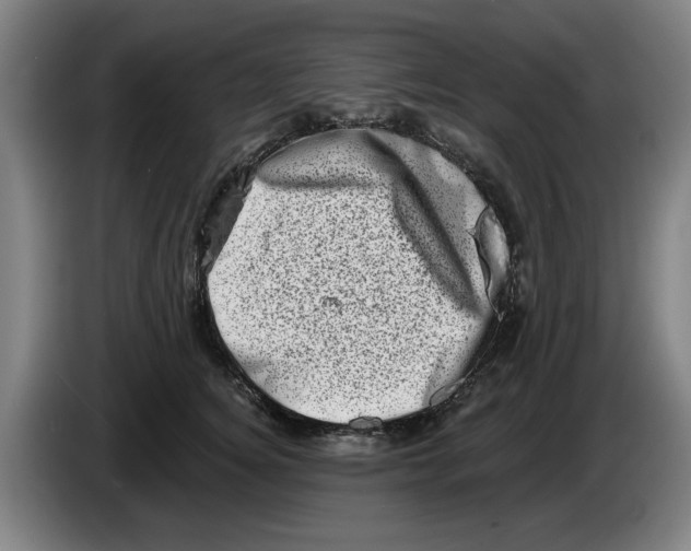 X0000086270756200704191924