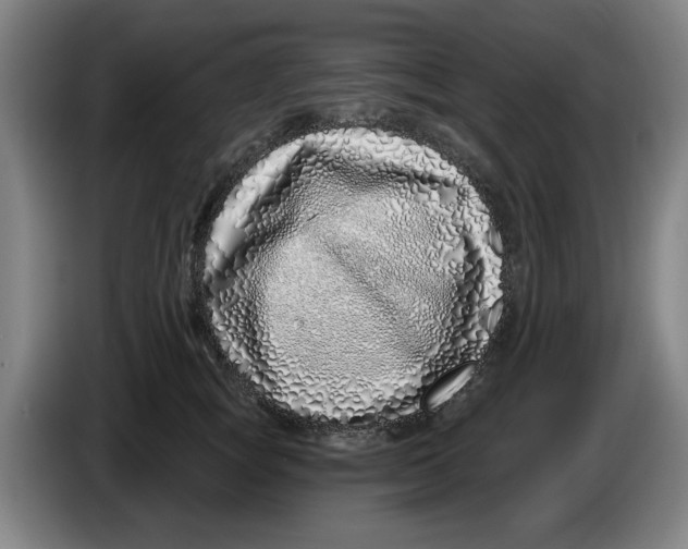 X0000086270757200704191924