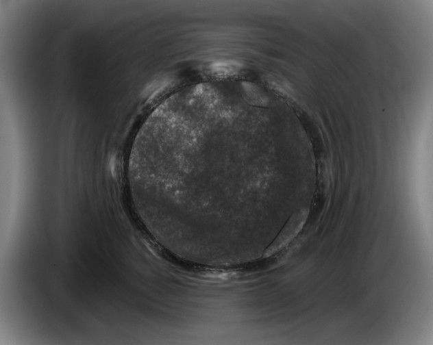 X0000086270760200704191924