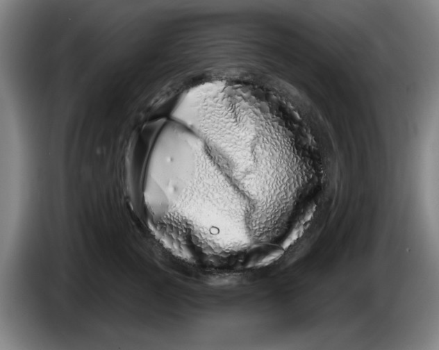 X0000086270761200704191924