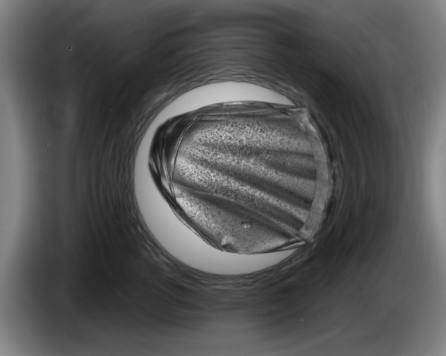 X0000086270762200704191925