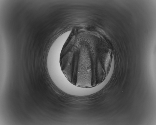 X0000086270764200704191925