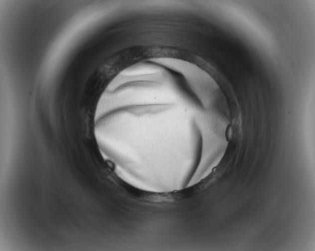 X0000086270765200704191925