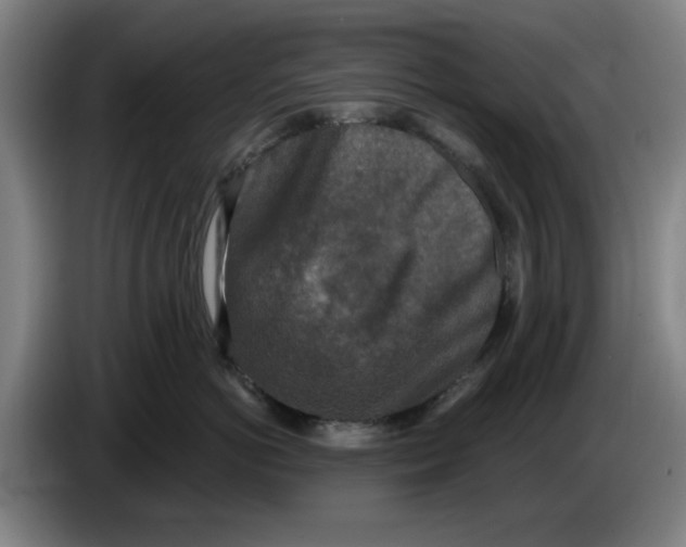 X0000086270766200704191925