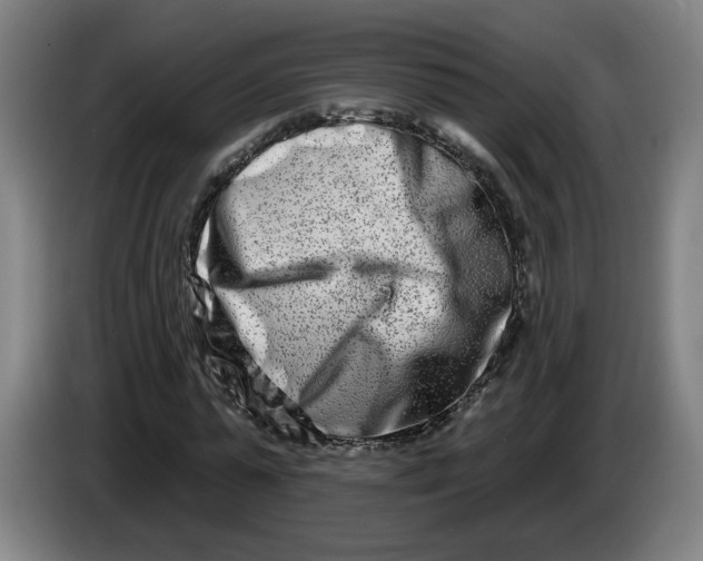 X0000086270775200704191924