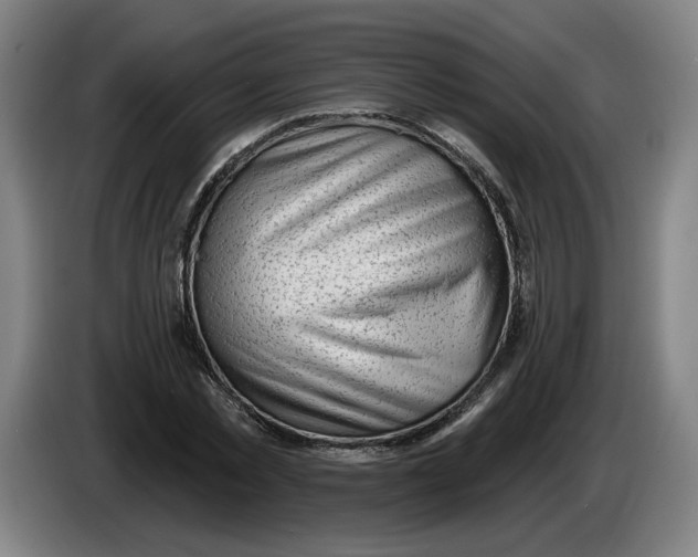 X0000086270781200704191924