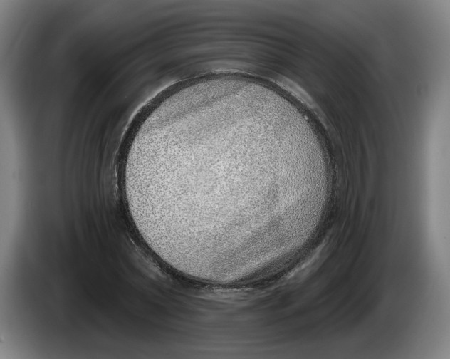 X0000086270782200704191924