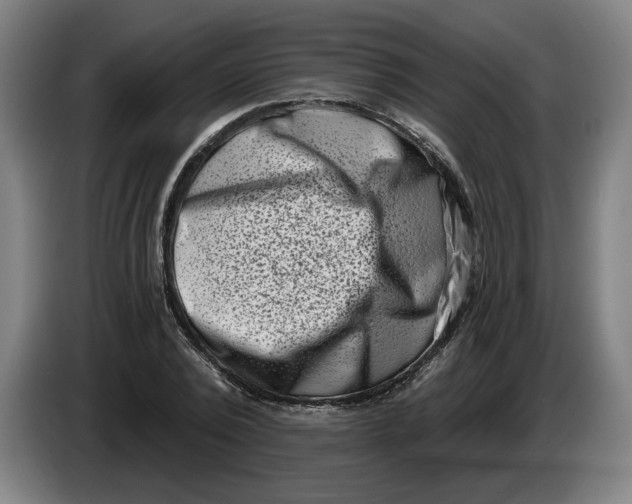 X0000086270784200704191924