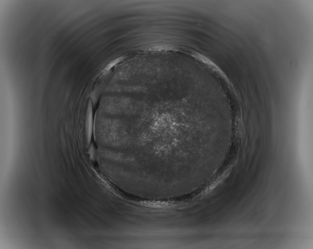 X0000086270785200704191924