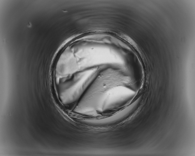 X0000086270787200704191924