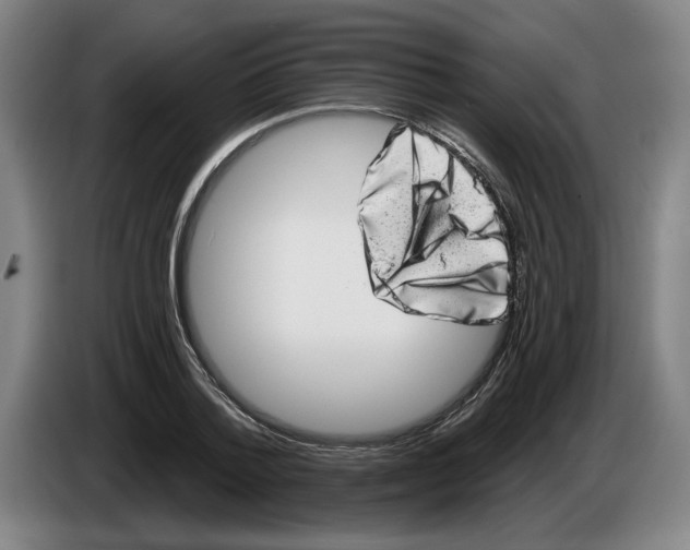 X0000086270788200704191924