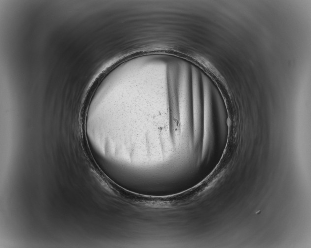 X0000086270789200704191924