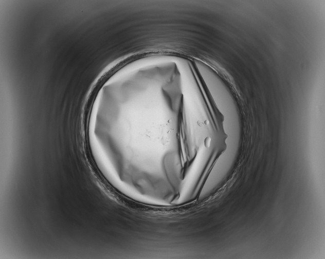 X0000086270792200704191924